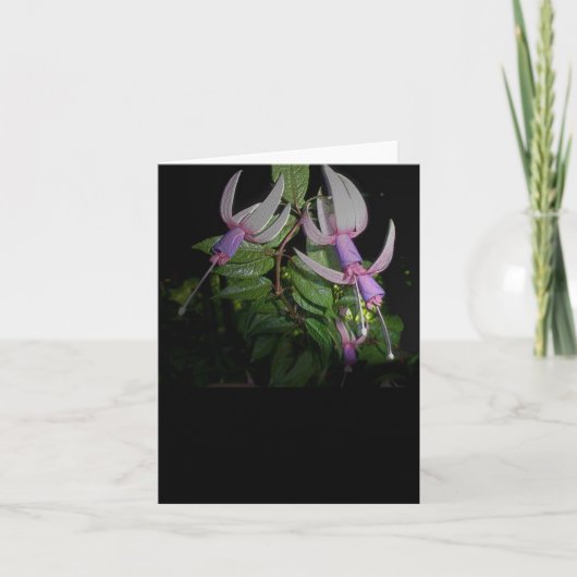 Blue Fushia Note Kaart (Voorkant)