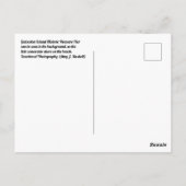 Blue Galveston Briefkaart (Achterkant)