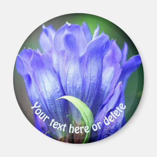 Blue Gentian Flower Personalized Magneet (Voorkant)
