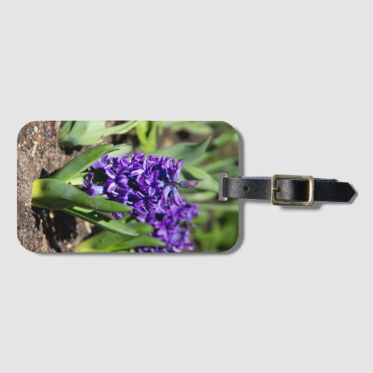 Blue Geocinth in Spring Bagagelabel (Voorkant (horizontaal))