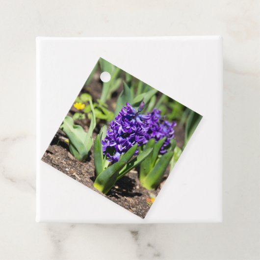 Blue Geocinth in Spring Bedankjes Labels (In situ)