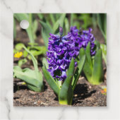 Blue Geocinth in Spring Bedankjes Labels (Voorkant)