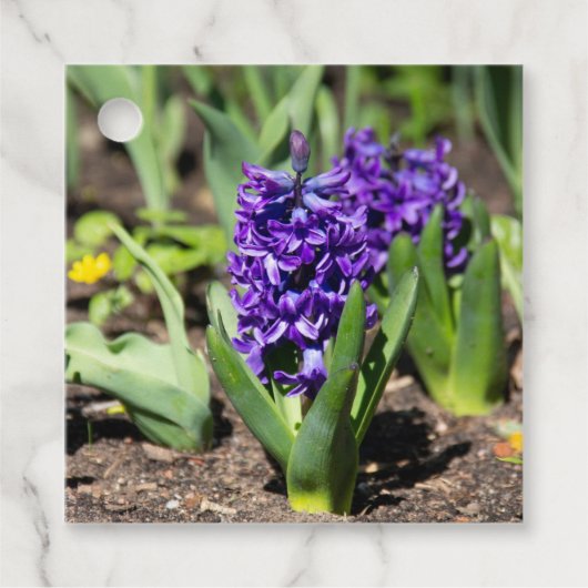 Blue Geocinth in Spring Bedankjes Labels (Voorkant)