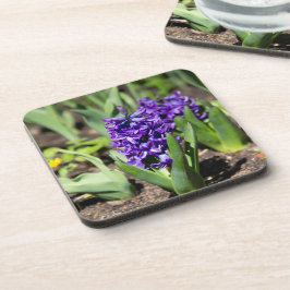 Blue Geocinth in Spring Bier Onderzetter