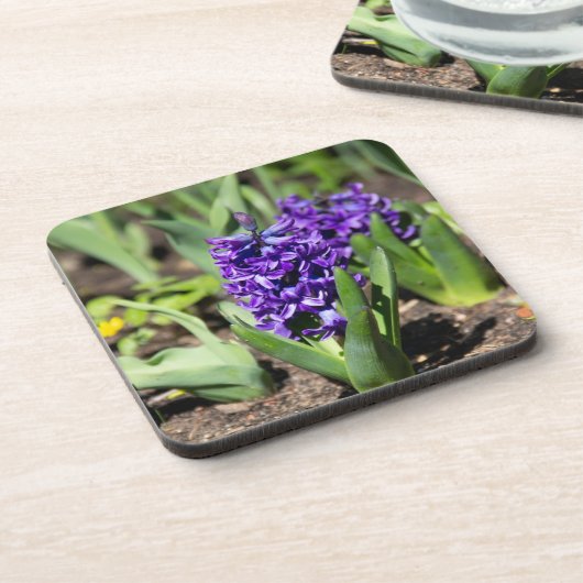 Blue Geocinth in Spring Bier Onderzetter (Linkerzijde)