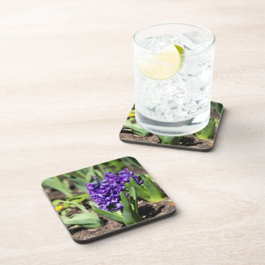 Blue Geocinth in Spring Bier Onderzetter (Rechterzijde)