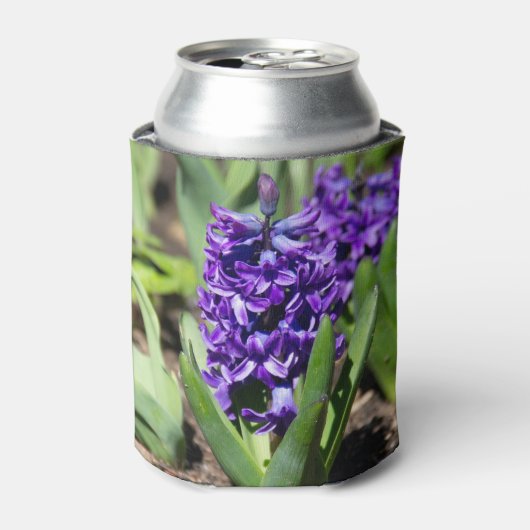 Blue Geocinth in Spring Blikjeskoeler (Blikje Voorkant)