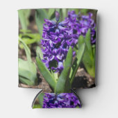 Blue Geocinth in Spring Blikjeskoeler (Voorkant)