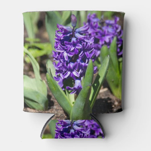 Blue Geocinth in Spring Blikjeskoeler (Voorkant)