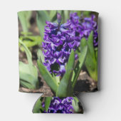 Blue Geocinth in Spring Blikjeskoeler (Achterkant)