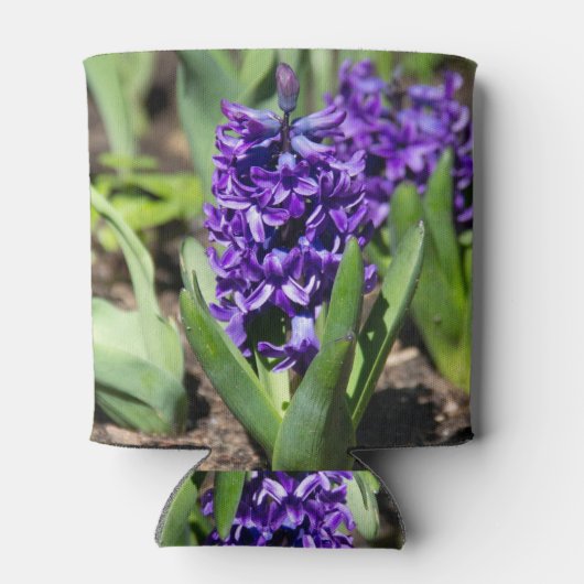 Blue Geocinth in Spring Blikjeskoeler (Achterkant)