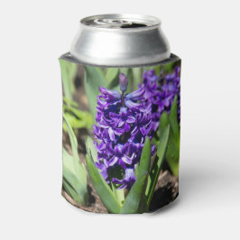 Blue Geocinth in Spring Blikjeskoeler