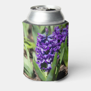 Blue Geocinth in Spring Blikjeskoeler