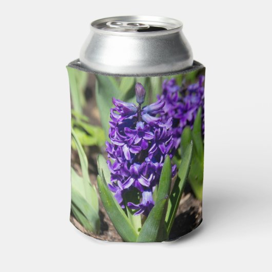 Blue Geocinth in Spring Blikjeskoeler (Blikje Achterkant)