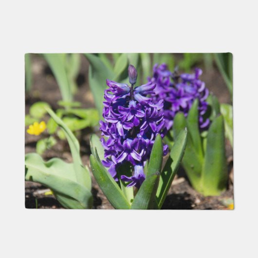 Blue Geocinth in Spring Deurmat (Voorkant)