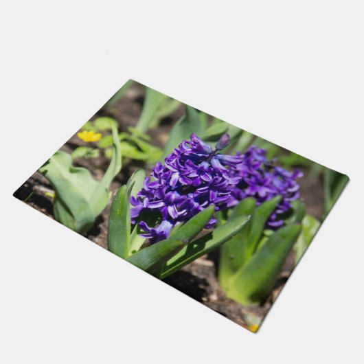 Blue Geocinth in Spring Deurmat (Schuin)