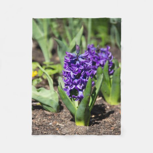 Blue Geocinth in Spring Fleece Deken (Voorkant)