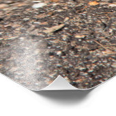 Blue Geocinth in Spring Foto Afdruk (Hoek)