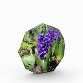 Blue Geocinth in Spring Fotoblokken (Links)