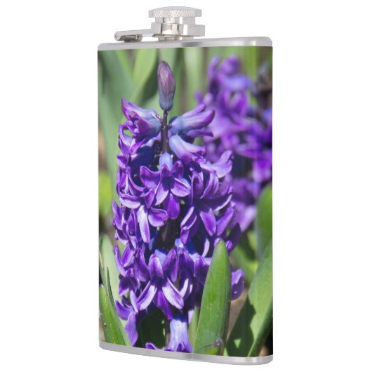 Blue Geocinth in Spring Heupfles (Links)