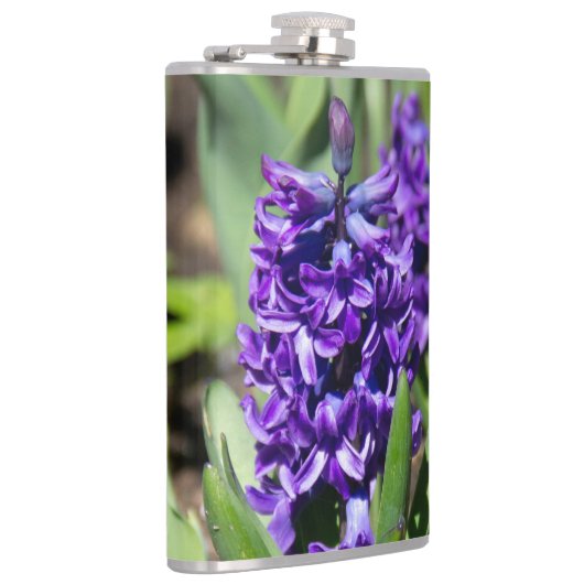 Blue Geocinth in Spring Heupfles (Rechts)