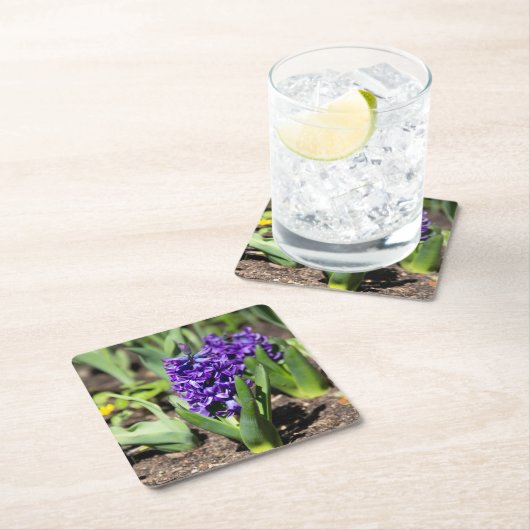 Blue Geocinth in Spring Kartonnen Onderzetters (Insitu)