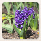 Blue Geocinth in Spring Kartonnen Onderzetters (Voorkant)