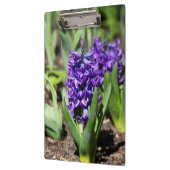 Blue Geocinth in Spring Klembord (Links)