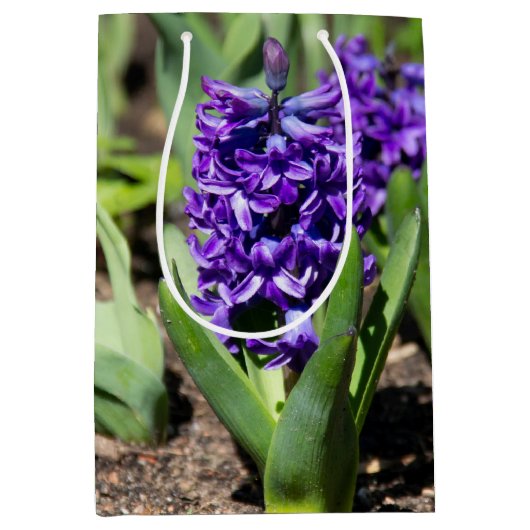 Blue Geocinth in Spring Medium Cadeauzakje (Voorkant)