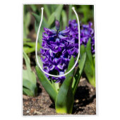 Blue Geocinth in Spring Medium Cadeauzakje (Voorkant)