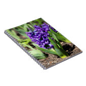 Blue Geocinth in Spring Notitieboek (Rechterzijde)