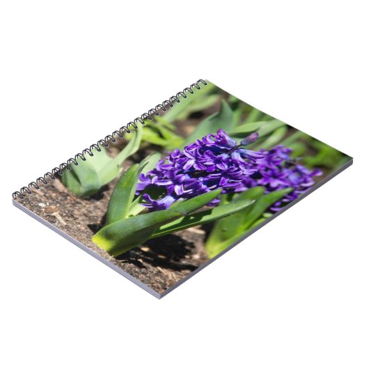 Blue Geocinth in Spring Notitieboek (Linkerzijde)