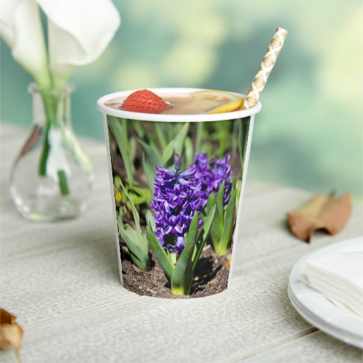 Blue Geocinth in Spring Papieren Bekers (Insitu)