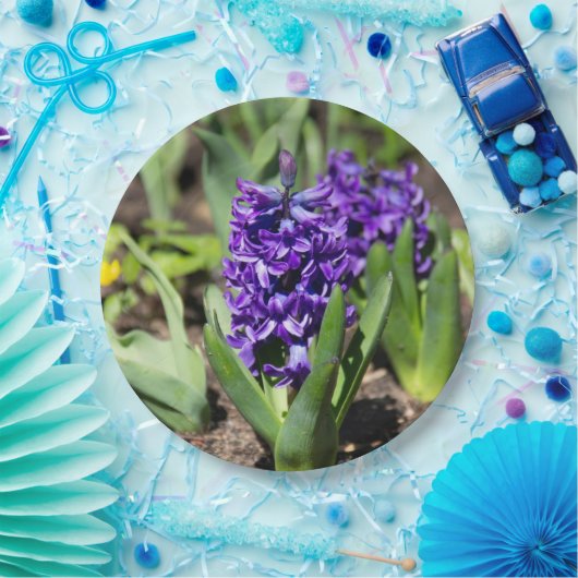 Blue Geocinth in Spring Papieren Bordje (Feest)