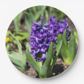 Blue Geocinth in Spring Papieren Bordje (Voorkant)