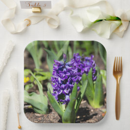 Blue Geocinth in Spring Papieren Bordje