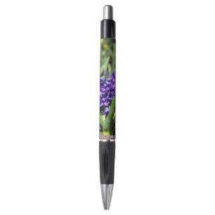 Blue Geocinth in Spring Pen