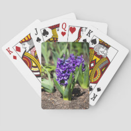 Blue Geocinth in Spring Pokerkaarten