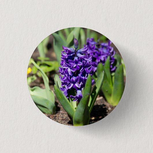Blue Geocinth in Spring Ronde Button 3,2 Cm (Voorkant)