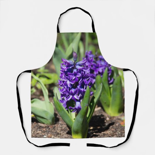 Blue Geocinth in Spring Schort (Voorkant)