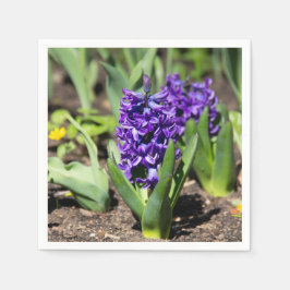 Blue Geocinth in Spring Servet