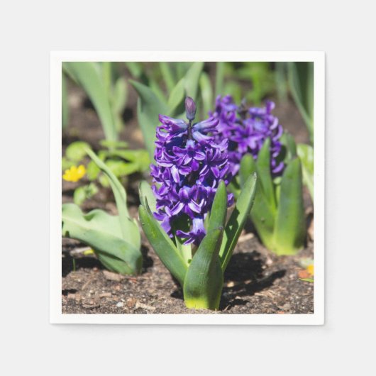 Blue Geocinth in Spring Servet (Voorkant)