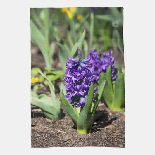 Blue Geocinth in Spring Theedoek (Verticaal)