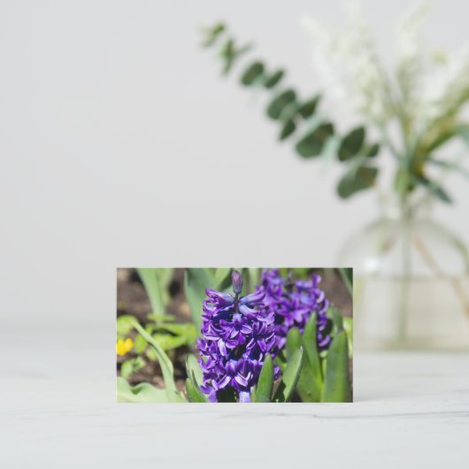 Blue Geocinth in Spring Visitekaartje (Staand voorkant)