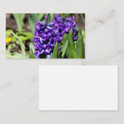 Blue Geocinth in Spring Visitekaartje (Voorkant / Achterkant)