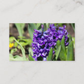 Blue Geocinth in Spring Visitekaartje (Voorkant)