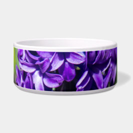 Blue Geocinth in Spring Voerbakje