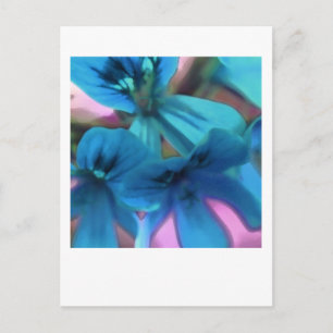 Blue Geraniums Briefkaart
