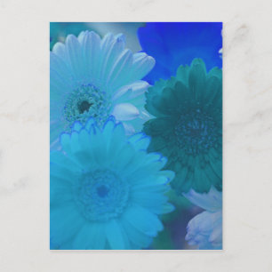 Blue Gerbera Daisy Flower Photo Art Briefkaart