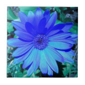 Blue Gerbera Daisy Tegel Tegeltje (Voorkant)